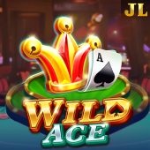 Wild Ace inplay slot game